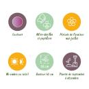 Exotenherz Blumenzwiebeln - Zierlauch Allium Christophii  (15 Stück) Durchmesser 10-12cm