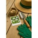 Exotenherz Blumenzwiebeln - Zierlauch Allium Mount Everest Weiss (3 Stück) Durchmesser 16-18cm