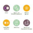 Exotenherz Blumenzwiebeln - Zierlauch Allium Violett-Weiß-Mix (15 Stück) Durchmesser 10-12cm