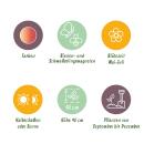 Exotenherz Blumenzwiebeln - Zierlauch Allium Siculum - weiss-rosa (30 Stück) Durchmesser 8-10cm