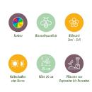 Exotenherz Blumenzwiebeln - Anemone de Caen Mix (30 Stück) Durchmesser 5-6cm