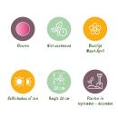 Exotenherz Blumenzwiebeln - Lerchensporn Corydalis Beth Evans (20 Stück) Durchmesser 6-7cm