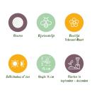 Cœur dexotisme bulbes à fleurs - Perce-neige Galanthus Elwesii (25 pièces) diamètre 5-6cm