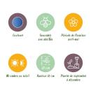 Exotenherz Blumenzwiebeln - engl. Hasenglöckchen Hyacinthoides non Scripta blau ( 20 Stück) Durchmesser 7-8cm