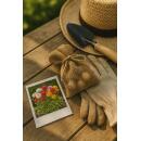 Cœur dexotisme bulbes à fleurs - Renoncules Ranunculus mélange de couleurs (40 pièces) diamètre 5-6cm