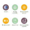 Exotenherz Blumenzwiebeln - Blaustern Scilla Siberica (50 Stück) Durchmesser 7-8cm