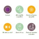 Exotenherz Blumenzwiebeln - Zierlauch Allium Purple Rain ( 40 Stück)