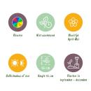 Exotenherz Blumenzwiebeln - Tulpen bunte Mischung Darwin Hybride Mix (40 Stück) Durchmesser 10-12cm