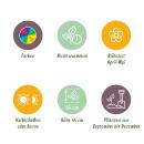 Exotenherz Blumenzwiebeln - Tulpen bunte Mischung Darwin Hybride Mix (40 Stück) Durchmesser 10-12cm