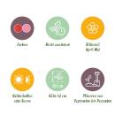 Exotenherz Blumenzwiebeln - Tulpen bunte Mischung pink und rot ( 40 Stück) Durchmesser 10-12cm