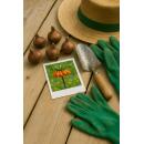 Exotenherz Blumenzwiebeln - Fritillaria imperialis rubra  Kaiserskrone ( 5 Stück)