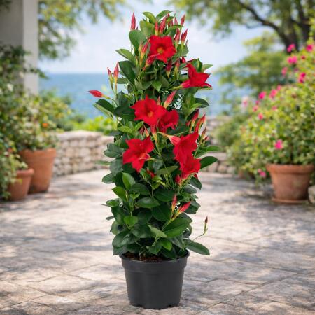 bambus in der vase Bambus Vase Chiharu main image 1