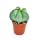 Astrophytum myriostigma - chapeau d&eacute;v&ecirc;que - dans un pot de 5,5 cm