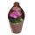 Echinofossulocactus mult. brevispinus - cactus boule rare - rareté - pot de 6,5 cm - 15 cm de haut