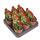 Crassula pyramidalis - Plante grasse en forme de pagode - Rareté - 6,5cm de pot - 15cm de haut