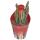 Senecio stapeliformis - Zuckerstangen-Sukkulente - Rarität - 6,5cm Topf - 15cm hoch