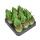 Aloe Vera - Mini-Aloe - Rarity - 6.5cm Pot - 15cm tall