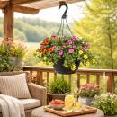 Calibrachoa "Karneval" - Magic Bell Mini Hanging Petunia - 3 colors in one pot - 19cm hanging pot - purple yellow orange