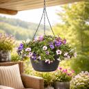 Calibrachoa "Karneval" - Pétunia suspendue miniature - 3 couleurs dans un pot - 19cm pot suspendu - rose blanc bleu