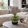 Lucky Bamboo - modernes Arrangement in runder Schale - 3 Ebenen - schwarz - 10cm Durchmesser - 15cm hoch