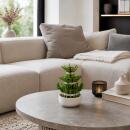 Lucky Bamboo - arrangement moderne dans un plat rond - 3...