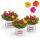 Portulaca oleracea - Portulakröschen, Portulak - 3er Set Konfetti - 13cm Topf - 20cm hoch-