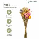 Bouquet - Dried Flowers - Natural Field Flowers - Multi - 15cm Diameter - 35cm Length