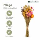 Bouquet - Dried Flowers - Natural Field Flowers - Multi - 20cm Diameter - 50cm Length