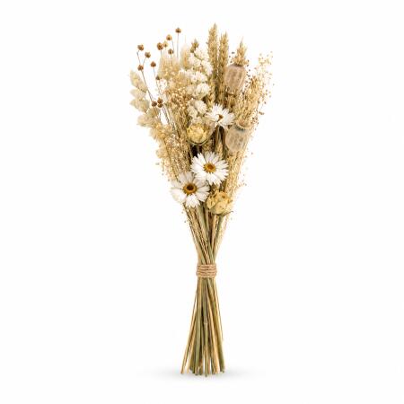 Bouquet de fleurs - Fleurs séchées - Fleurs des champs naturelles - Naturel - 15cm de diamètre - 35cm de longueur