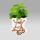 Coleus canin - Scardy Cat Plant - Set of 3 Plants