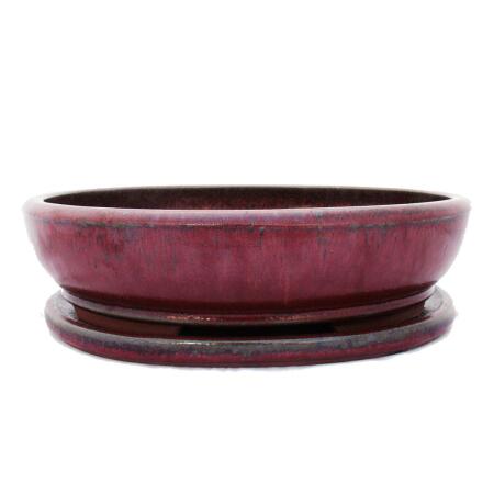 bol bonsaï avec soucoupe taille 6 - rouge - ovale - modèle o3 - l 36cm - b 28cm - h 10cm