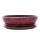 bol bonsaï avec soucoupe taille 6 - rouge - ovale - modèle o3 - l 36cm - b 28cm - h 10cm