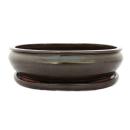 Bonsai cup and saucer Gr. 6 -Oliv - Brown - Oval - L 36cm - B 28cm - H 10cm