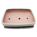 bol bonsaï avec soucoupe taille 6 - beige -...