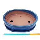 Bonsai cup and saucer Gr. 5 - blue - oval - model O7 - L 31cm - B 24cm - H 7,5 cm