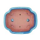 Bonsai cup and saucer Gr. 4 - blue - haitang/oval - model I4 - L 26cm - B 20.5cm - H 8.5cm