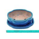 bol bonsaï avec soucoupe taille 2 - bleu - haitang/ovale  - modèle i5 - l 14,5cm - b 12,5cm - h 5cm