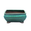 Bonsai cup and saucer Gr. 2 - Green - Square - Model G81 - L 14,5cm - B 11,3cm - H 6,6cm