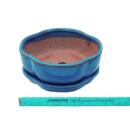 bol bonsaï avec soucoupe taille 1 - bleu - haitang/ovale - modèle i5 - l 12cm - b 9,5cm - h 4,5 cm