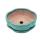 Bonsai cup and saucer Gr. 1 - Green - Haitang/oval - Model I5 - L 12cm - W 9.5cm - H 4.5 cm