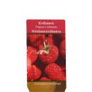 Raspberry-Strawberry - Set of 3 Plants- Fragaria - Unusual Variety for the Connoisseur of the Unusual