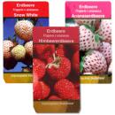 Extraordinaires variétés de fraises - 3 plantes - Fraise blanche "Blanche-Neige" - Ananas fraise - Framboise fraise