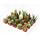 Mini cactus et succulents - Lot de 20 plantes