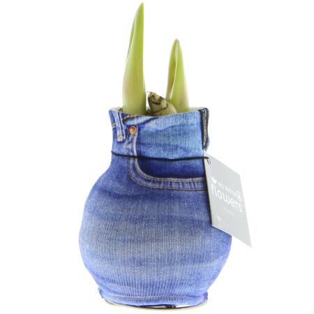 Jeans-Optik